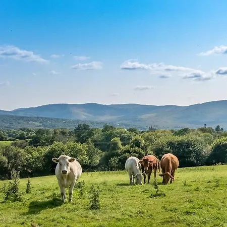 Luxury On The Hill Semesterbostad Kenmare